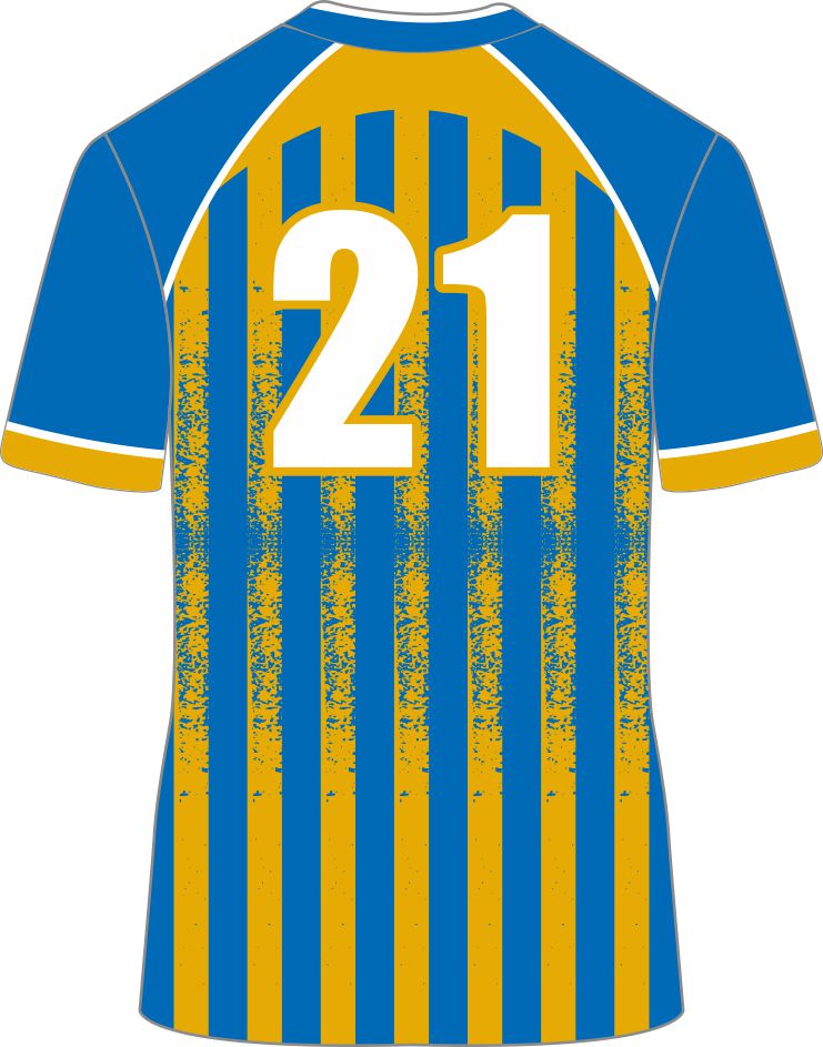 Custom Football Jerseys | Free Logos, Team Names & Player Numbers Style 5609